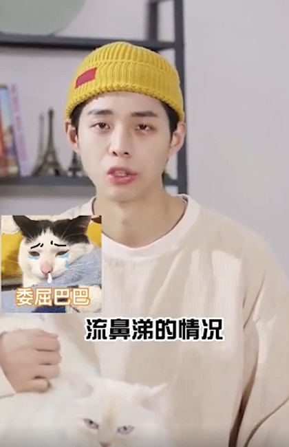 猫咪吐黄水怎么办