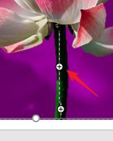 怎样使用PPT抠图