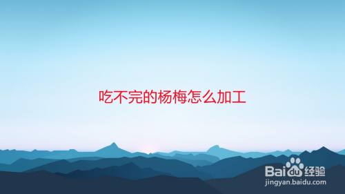 吃不完的杨梅怎么加工 百度经验