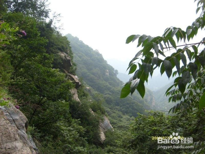 五岳寨风景区游玩攻略