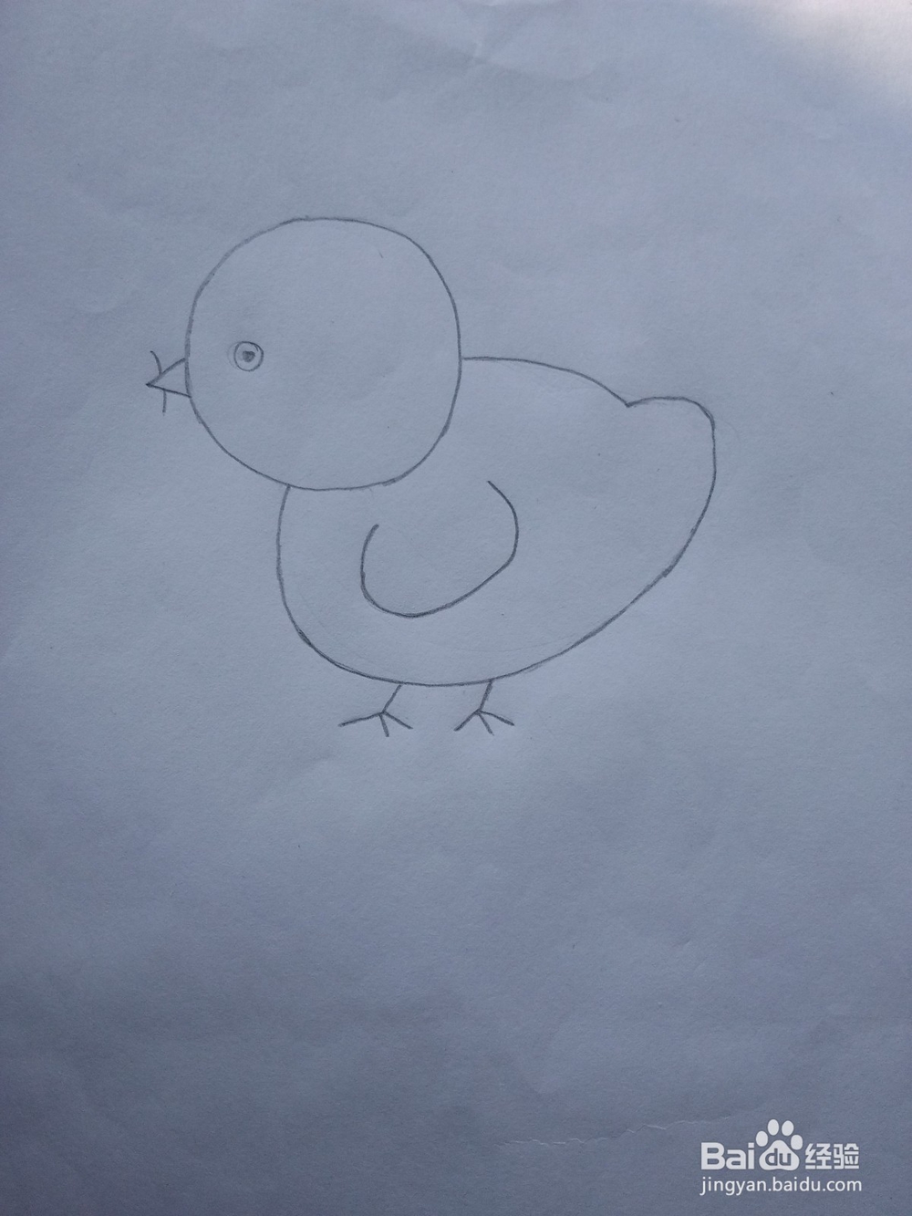 简笔画——怎么画小鸡