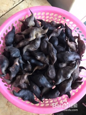 怎么做清炒新鲜的嫩菱角?