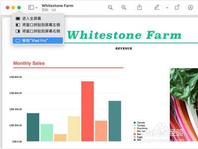 ipad如何扩充为mac副屏