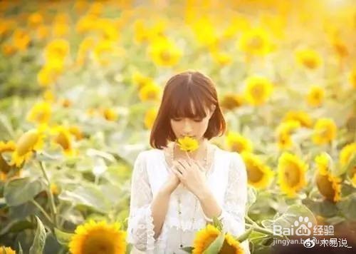 春天赏花拍照攻略!春天赏花拍照必备技巧!