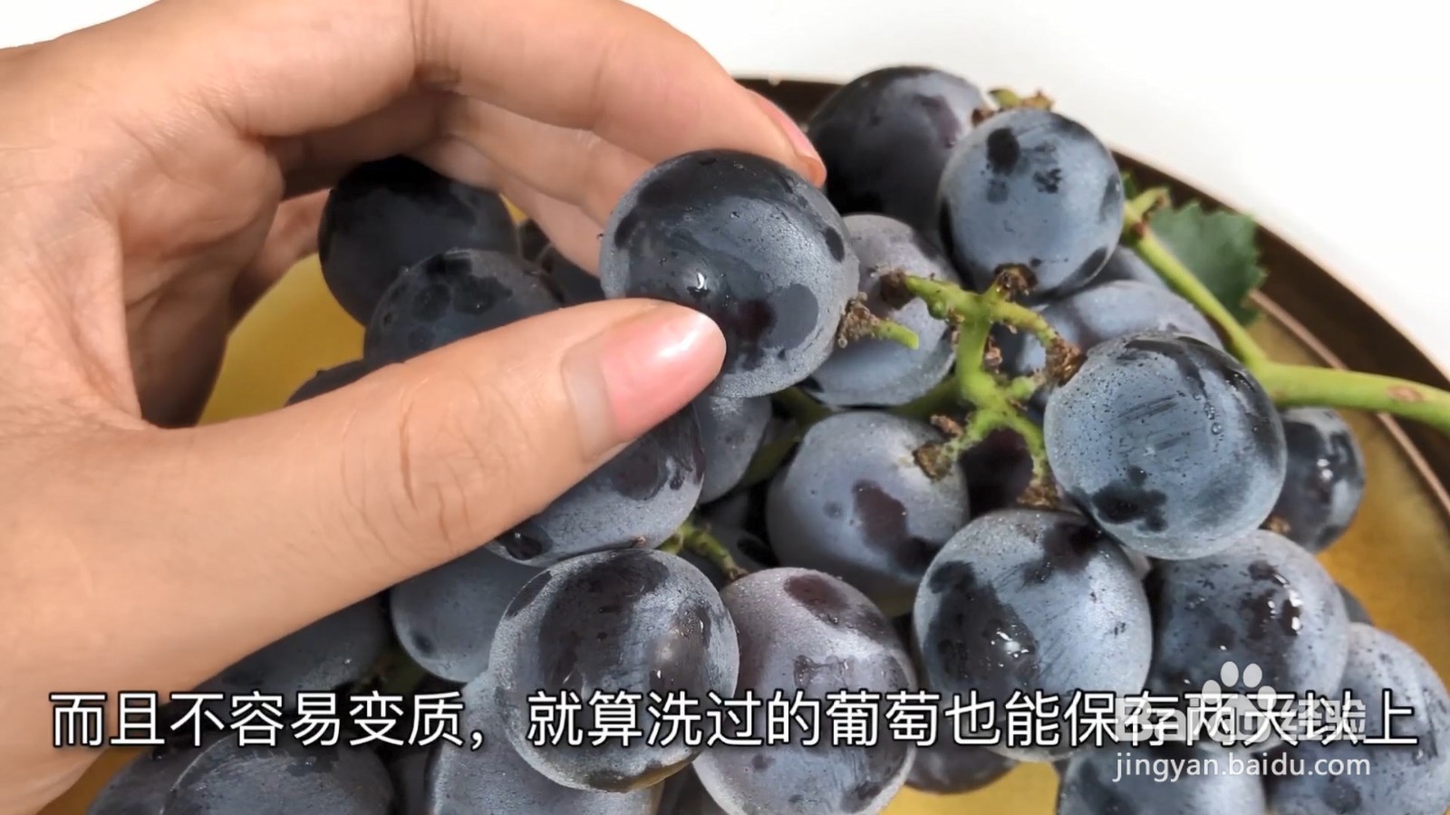 买回来的葡萄千万不要这样做,教你正确的方法!