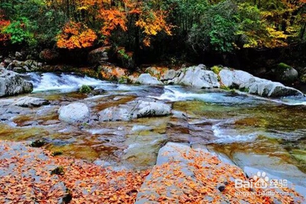 光雾山旅游攻略