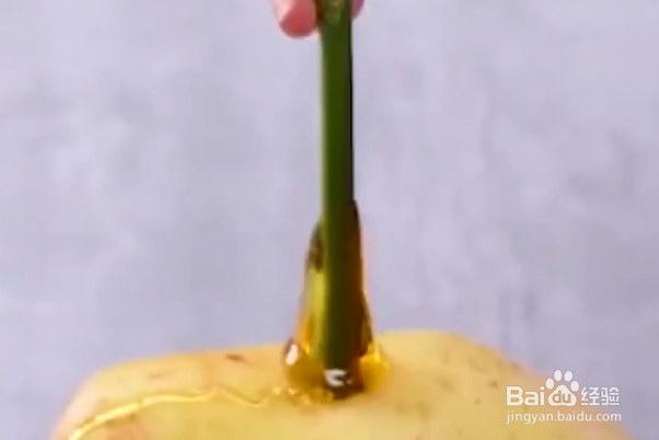 如何在家种植玫瑰花