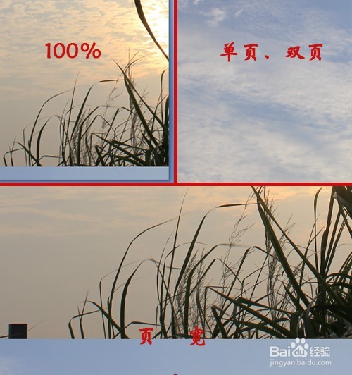 word将背景设为图片