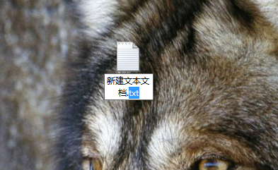 怎么把TXT转换成vbs