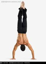 不花钱初学健身者的精简必备锻炼