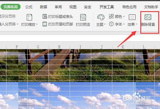 excel2007没有删除背景选项-百度经验