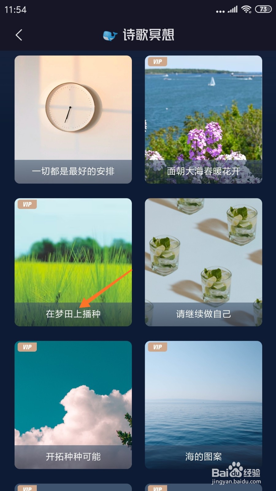 FLOW冥想中怎么查看在梦田上播种