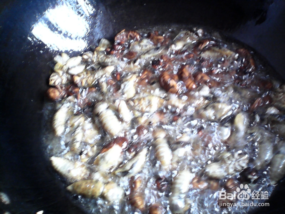 农家小院油炸知了猴美味可口