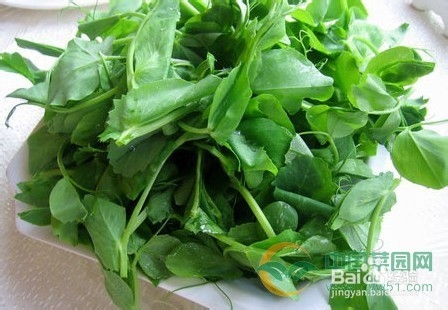 如何挑选各种有机蔬菜