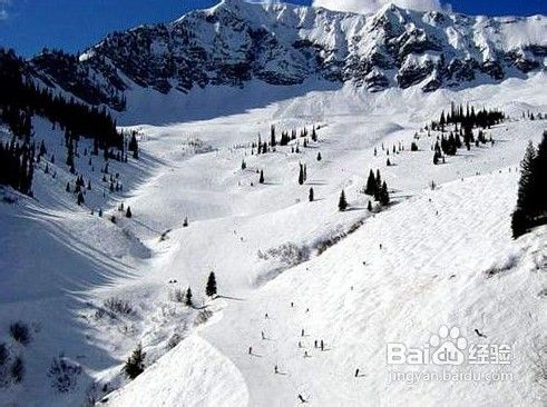 西岭雪山滑雪场介绍