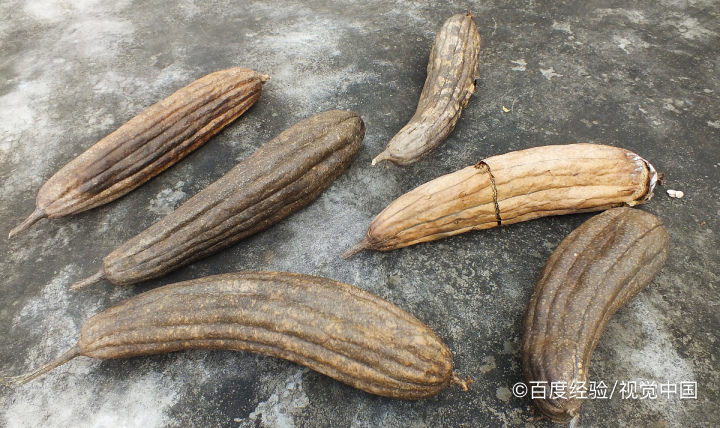 夏天吃丝瓜的好处