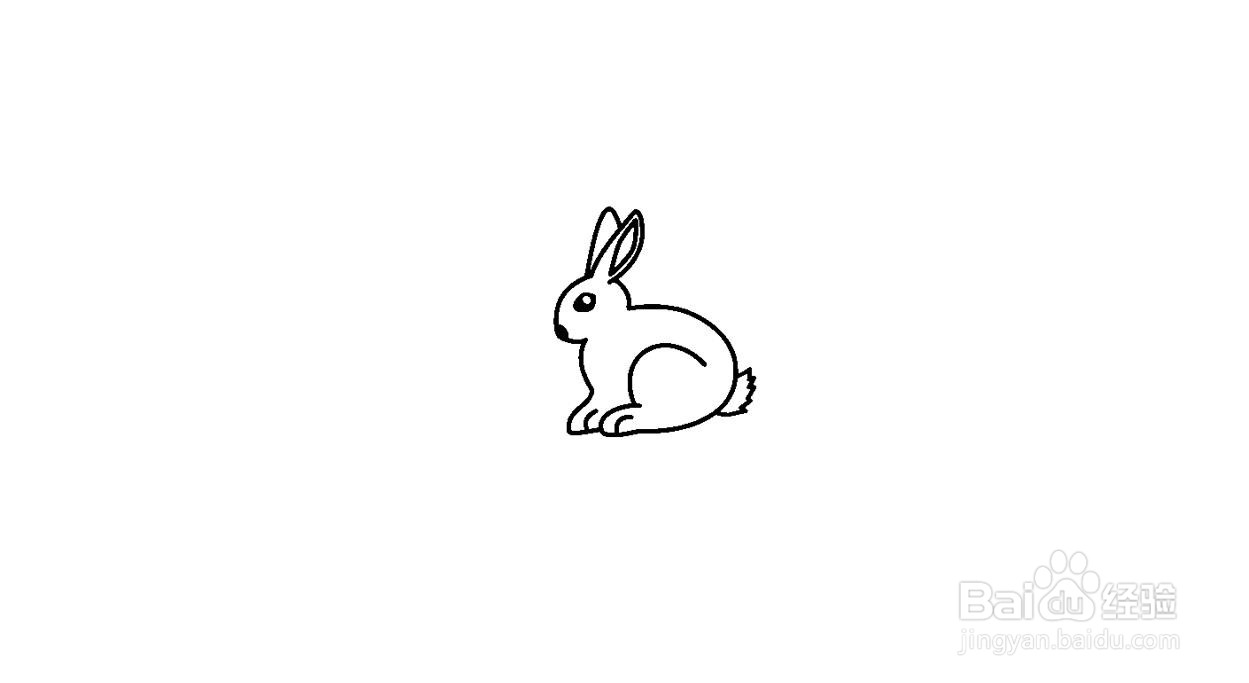 家兔简笔画画法分解