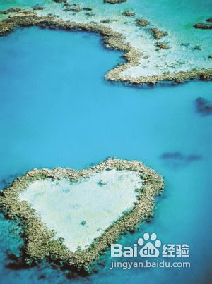 春节玩转澳洲三种方式看尽好风景