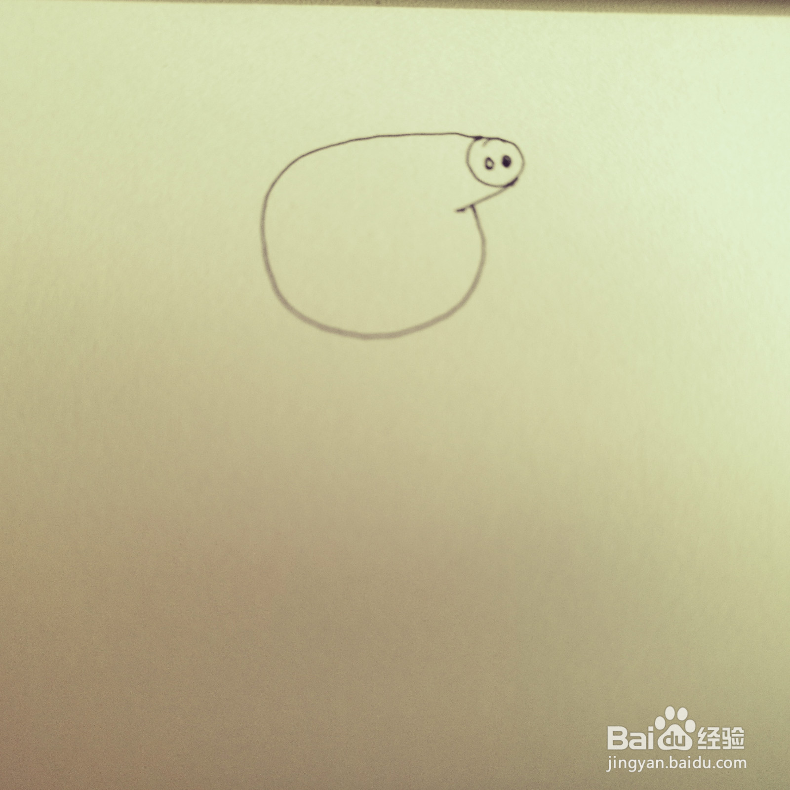 如何来画恩爱的佩奇爸爸和佩奇妈妈简笔画