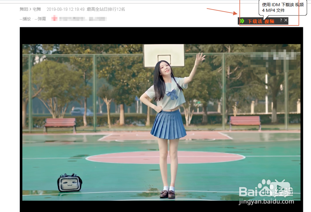 哔哩哔哩如何下载视频