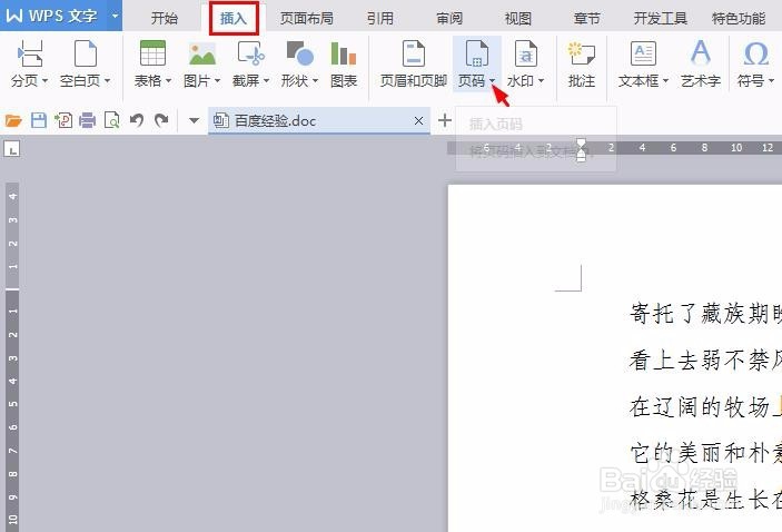 wps中怎样插入页码