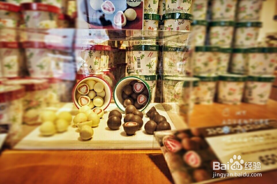 小樽市的旅游指南