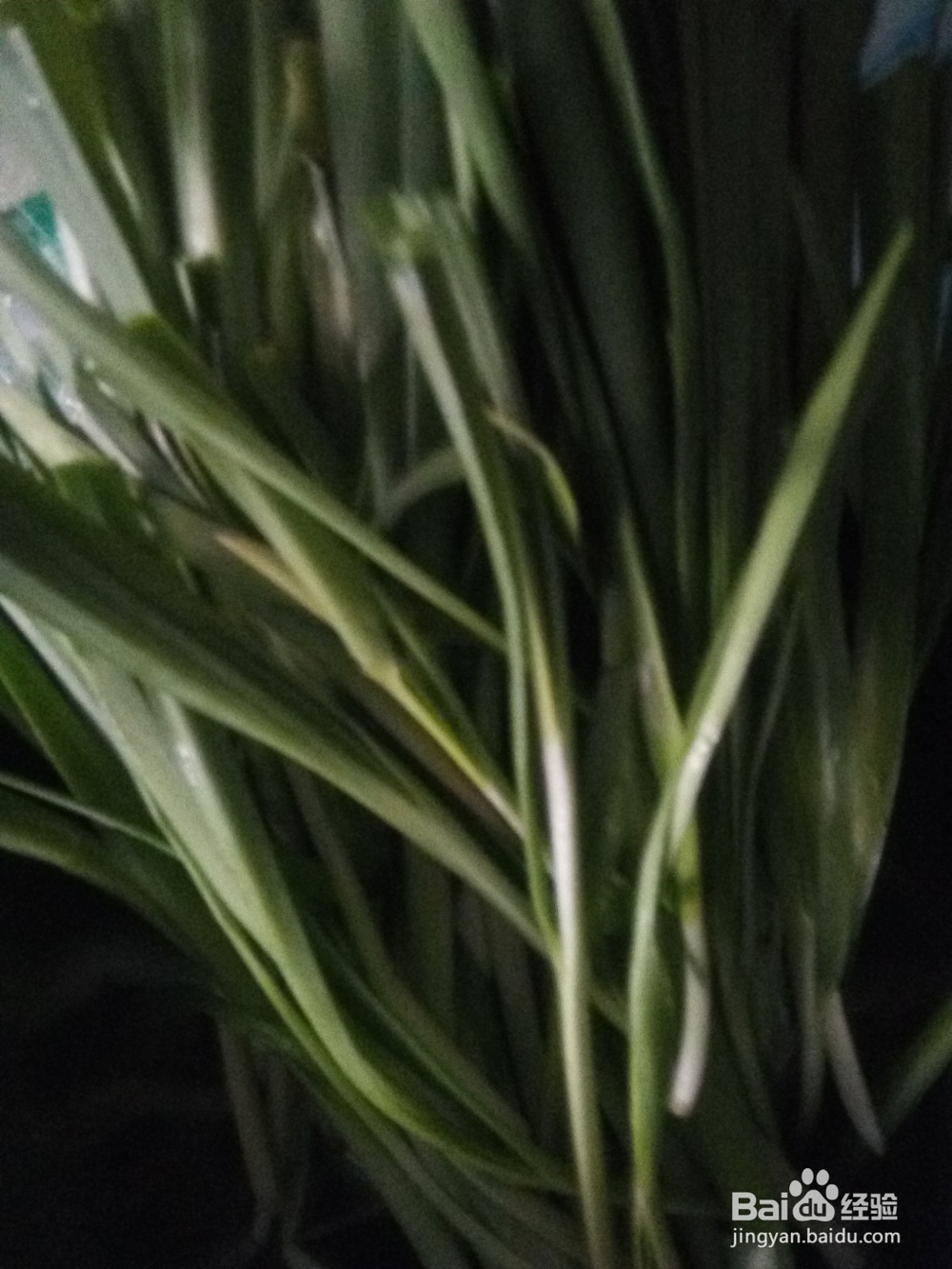 马铃薯丝炒韭菜