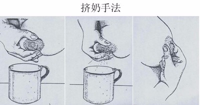 产妇涨奶怎么处理？