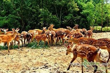 流溪河国家森林公园自助游攻略