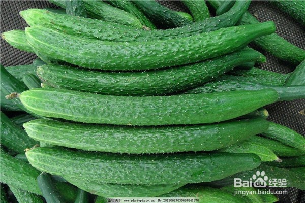 减肥的时候吃点啥