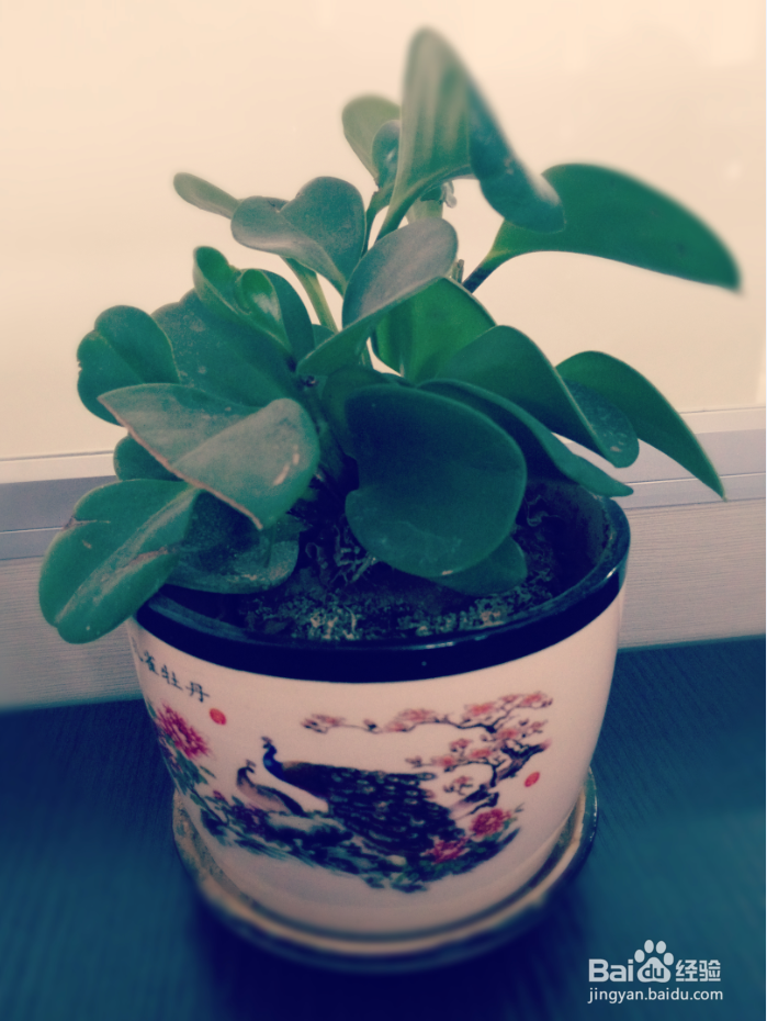 交友app头像的设置方法，怎么设置app头像