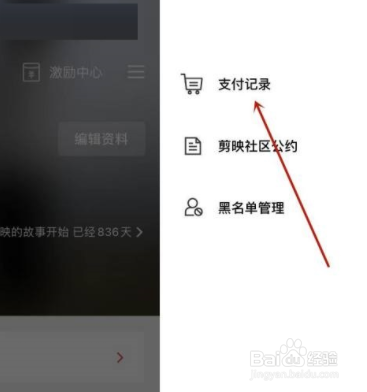 剪映如何查看付记录?