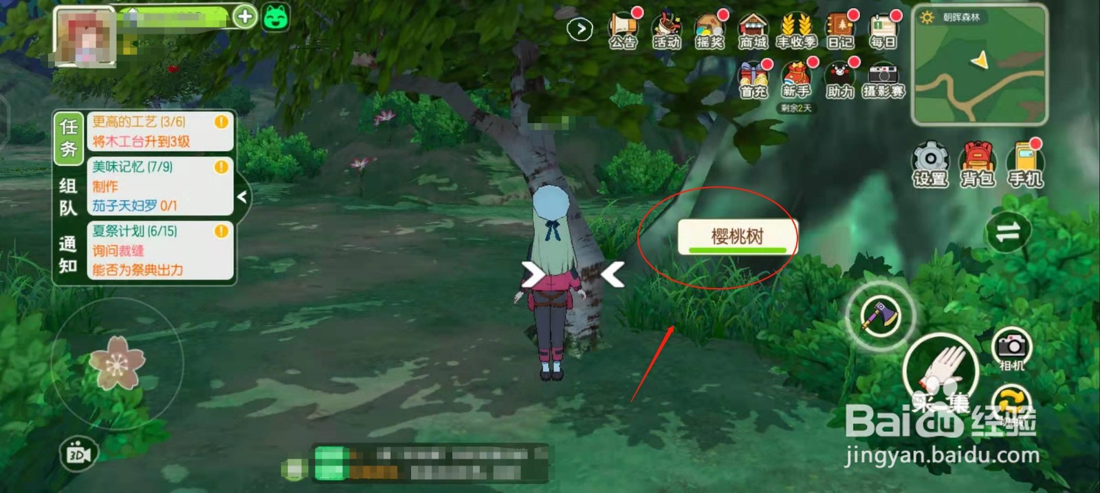 小森生活怎么获得樱桃