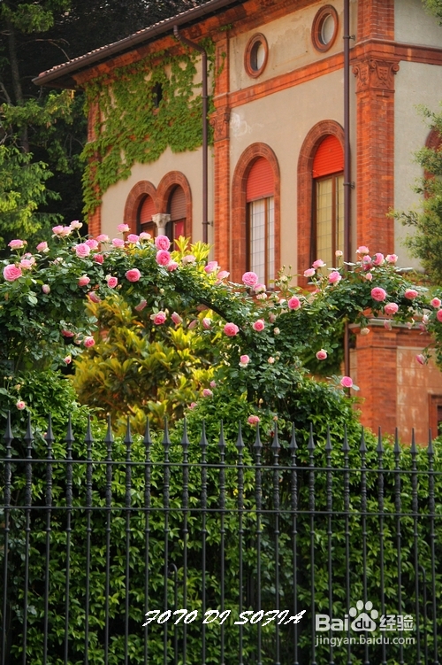 [转载]攀上梦的边缘开放