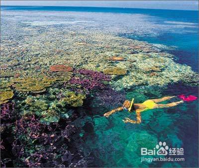最令人向往的十大水上奇观