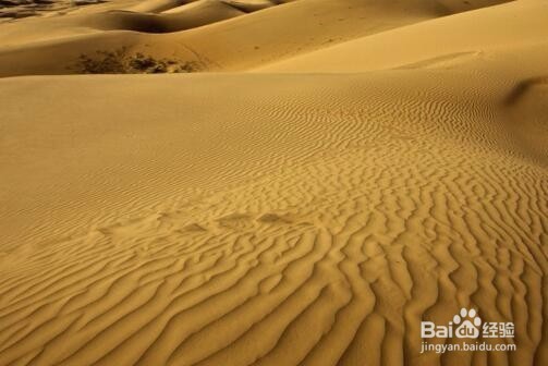 做沙画选择怎样的沙子