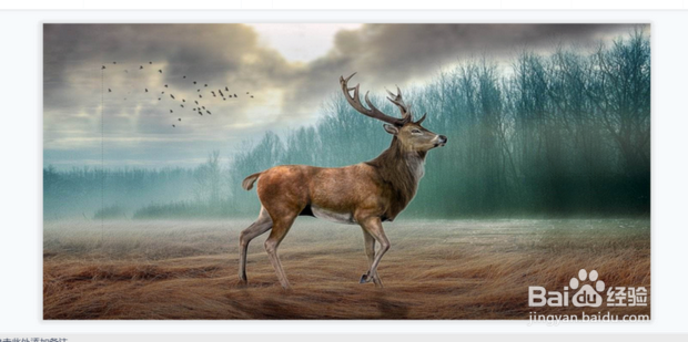 ppt中怎么将图片与背景完全融合