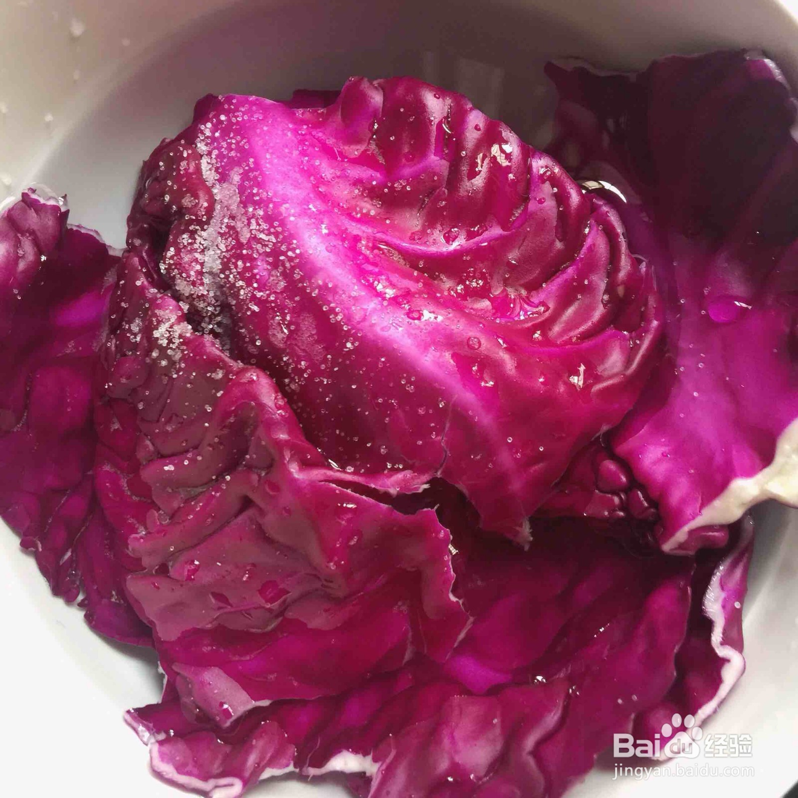 高颜值紫甘蓝酸奶懒人减脂沙拉