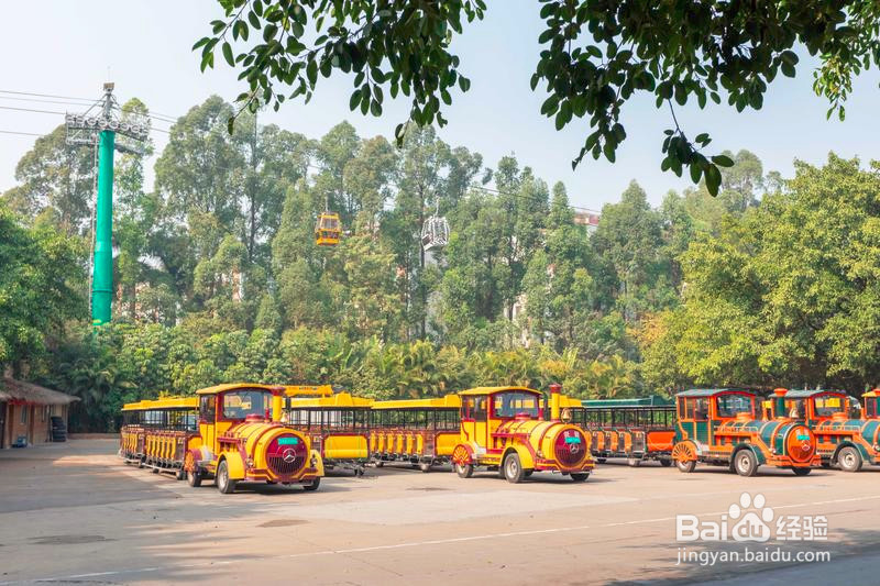 广州长隆野生动物世界攻略2