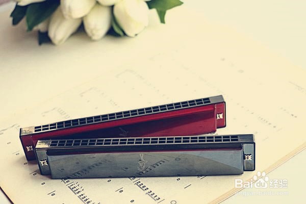 小白如何快速吹奏口琴简谱小星星