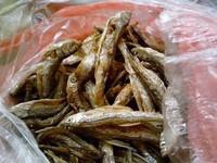 吃货美食-豆豉姜蒸鱼干！