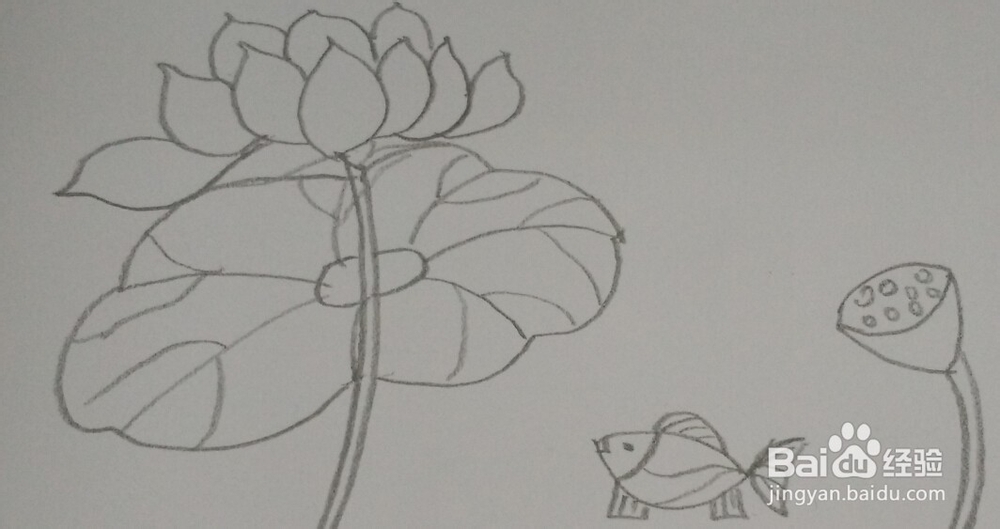 油画棒画【荷花】简单教程