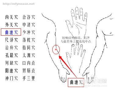 不花钱、最安全、人人都会的养生保健经验分享