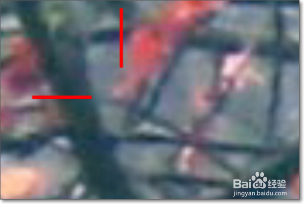 在AI里面如何设置裁切线？