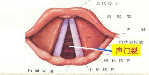 声乐演唱中如何产生共鸣并进行自我支配调整