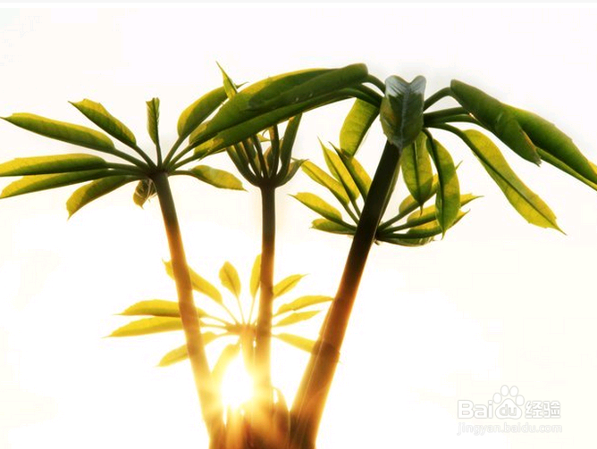 职场新人必读，冯唐亲传混迹江湖的10大好习惯！