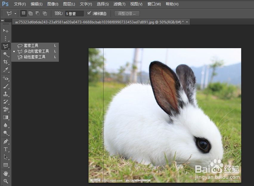 使用PS如何选定各种选区