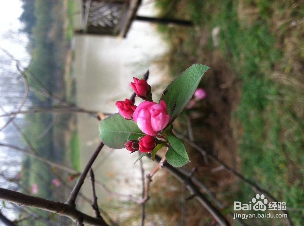 如何在冬季进行早锻炼，让心情愉悦