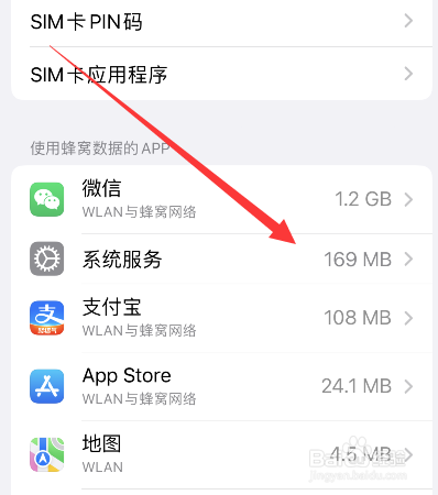 苹果怎么看每日流量明细