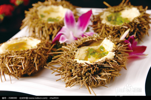 海胆怎么吃视频